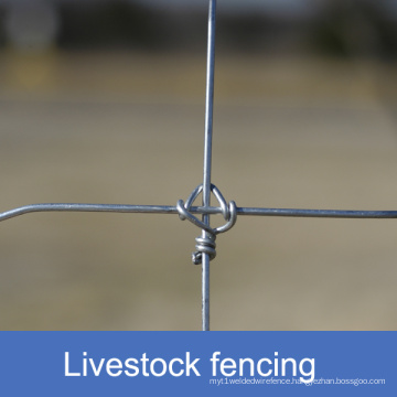 Fixed Knot Livestock Fencing